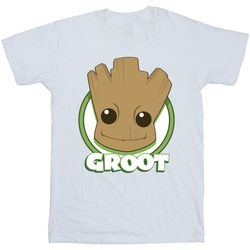 Abbigliamento Bambina T-shirts a maniche lunghe Guardians Of The Galaxy Groot Badge Bianco