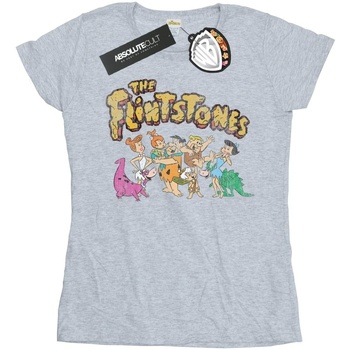 Abbigliamento Donna T-shirts a maniche lunghe The Flintstones Group Distressed Grigio