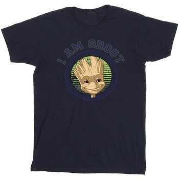 Abbigliamento Bambina T-shirts a maniche lunghe Guardians Of The Galaxy Groot Varsity Blu