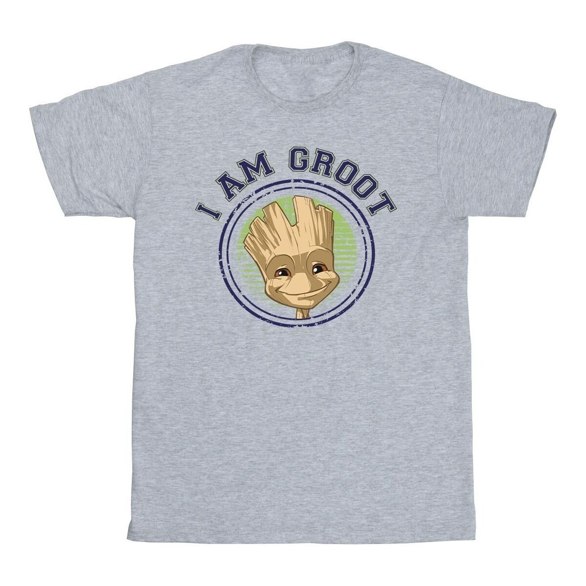 Abbigliamento Bambina T-shirts a maniche lunghe Guardians Of The Galaxy Groot Varsity Grigio