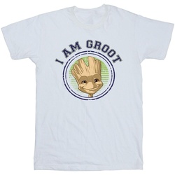 Abbigliamento Bambina T-shirts a maniche lunghe Guardians Of The Galaxy Groot Varsity Bianco
