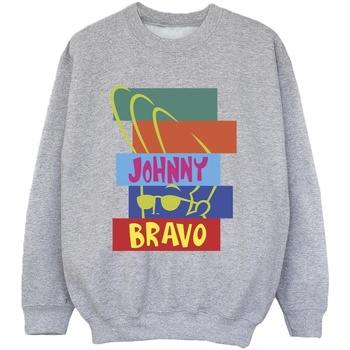 Abbigliamento Bambino Felpe Johnny Bravo Rectangle Pop Art Grigio