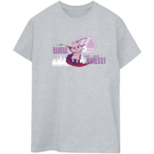 Abbigliamento Donna T-shirts a maniche lunghe Dc Comics DC League Of Super-Pets Lulu Evil Genius Grigio