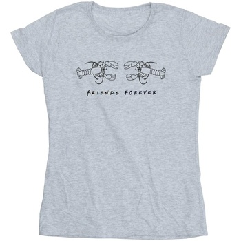 Abbigliamento Donna T-shirts a maniche lunghe Friends Lobster Logo Grigio