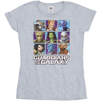 Abbigliamento Donna T-shirts a maniche lunghe Guardians Of The Galaxy Character Squares Grigio