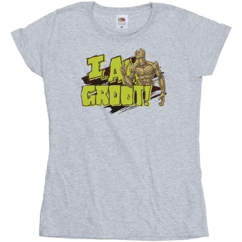 Abbigliamento Donna T-shirts a maniche lunghe Guardians Of The Galaxy I Am Groot Grigio