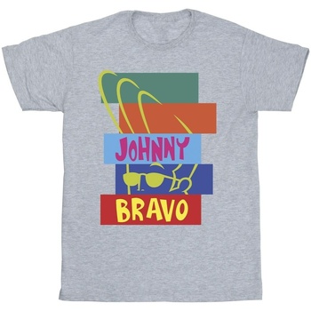 Abbigliamento Bambina T-shirts a maniche lunghe Johnny Bravo Rectangle Pop Art Grigio