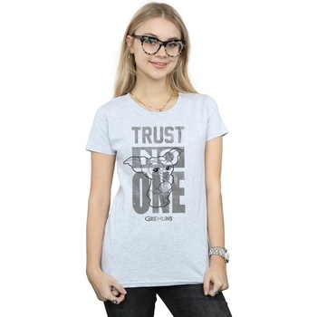 Abbigliamento Donna T-shirts a maniche lunghe Gremlins Trust One Mogwai Grigio