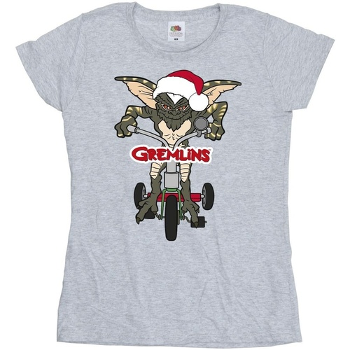 Abbigliamento Donna T-shirts a maniche lunghe Gremlins Bike Logo Grigio