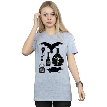 Abbigliamento Donna T-shirts a maniche lunghe Fantastic Beasts Plain Icons Grigio