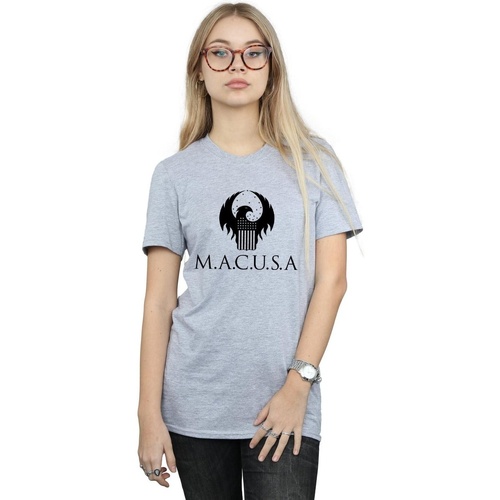 Abbigliamento Donna T-shirts a maniche lunghe Fantastic Beasts MACUSA Logo Grigio