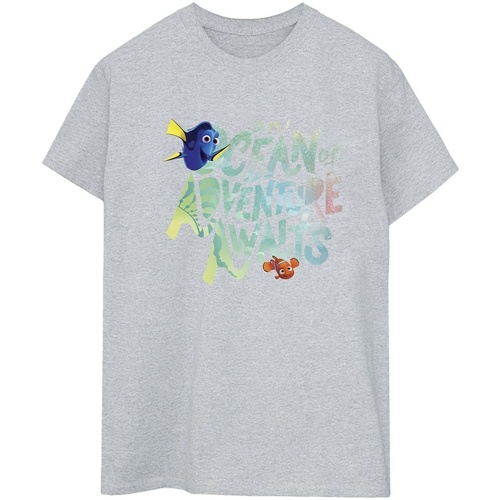 Abbigliamento Donna T-shirts a maniche lunghe Disney Finding Dory Ocean Of Adventure Grigio