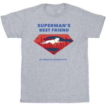 Abbigliamento Uomo T-shirts a maniche lunghe Dc Comics DC League Of Super-Pets Superman's Best Friend Grigio