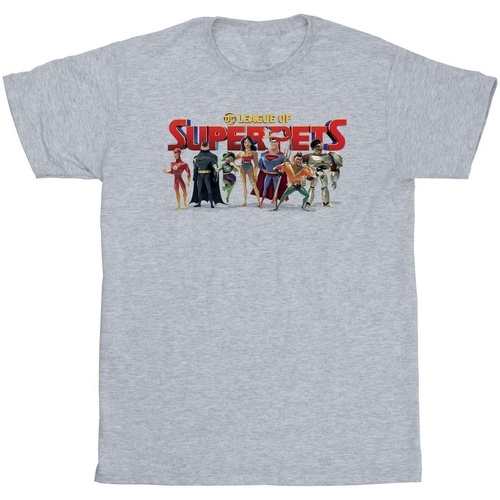 Abbigliamento Uomo T-shirts a maniche lunghe Dc Comics DC League Of Super-Pets Group Logo Grigio