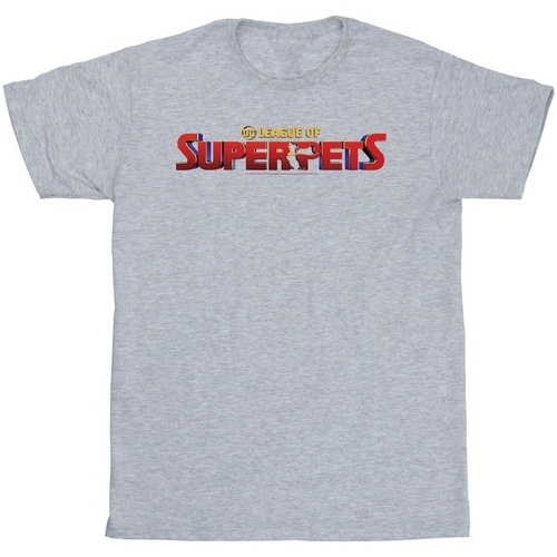 Abbigliamento Uomo T-shirts a maniche lunghe Dc Comics DC League Of Super-Pets Movie Logo Grigio