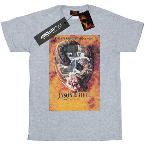 Abbigliamento Donna T-shirts a maniche lunghe Friday The 13Th Jason Goes To Hell Grigio