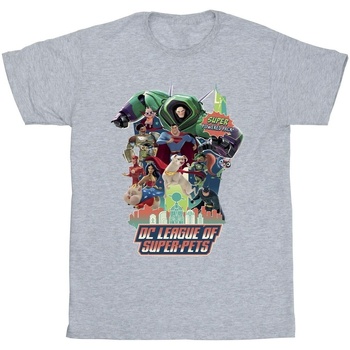 Abbigliamento Uomo T-shirts a maniche lunghe Dc Comics DC League Of Super-Pets Super Powered Pack Grigio
