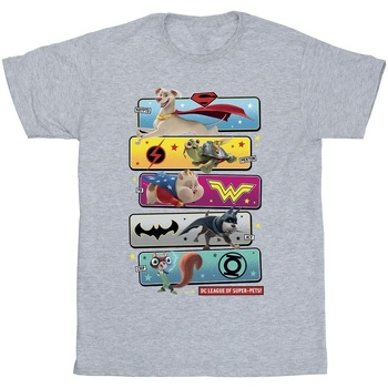 Abbigliamento Uomo T-shirts a maniche lunghe Dc Comics DC League Of Super-Pets Character Pose Grigio