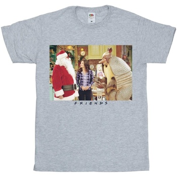 Abbigliamento Donna T-shirts a maniche lunghe Friends Christmas Armadillo Grigio
