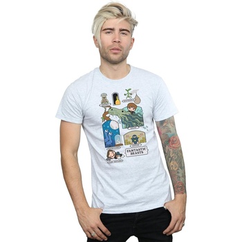 Abbigliamento Uomo T-shirts a maniche lunghe Fantastic Beasts Chibi Newt Grigio