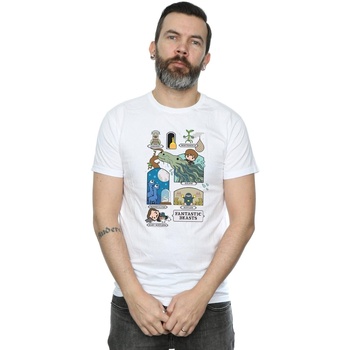 Abbigliamento Uomo T-shirts a maniche lunghe Fantastic Beasts Chibi Newt Bianco