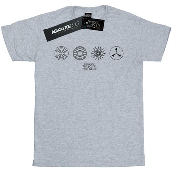Abbigliamento Uomo T-shirts a maniche lunghe Fantastic Beasts Circular Icons Grigio