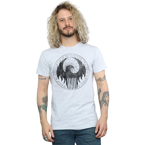Abbigliamento Uomo T-shirts a maniche lunghe Fantastic Beasts Distressed Magical Congress Grigio