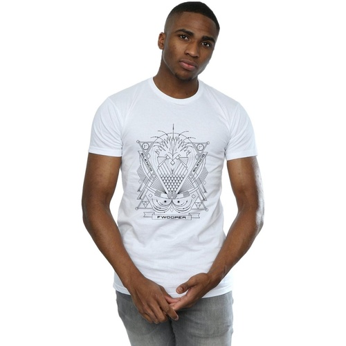 Abbigliamento Uomo T-shirts a maniche lunghe Fantastic Beasts Fwooper Icon Bianco