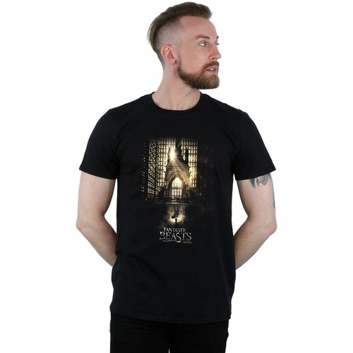 Abbigliamento Uomo T-shirts a maniche lunghe Fantastic Beasts Movie Poster Nero