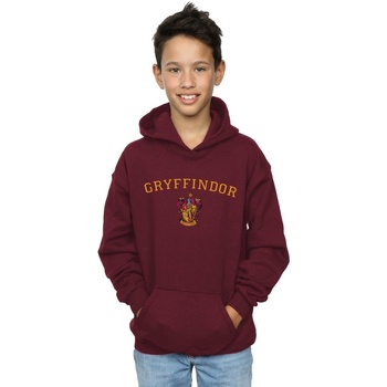 Abbigliamento Bambino Felpe Harry Potter Gryffindor Crest Multicolore