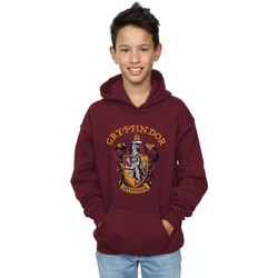 Abbigliamento Bambino Felpe Harry Potter Gryffindor Crest Multicolore