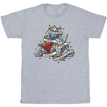 Abbigliamento Bambino T-shirt & Polo Harry Potter BI21220 Grigio