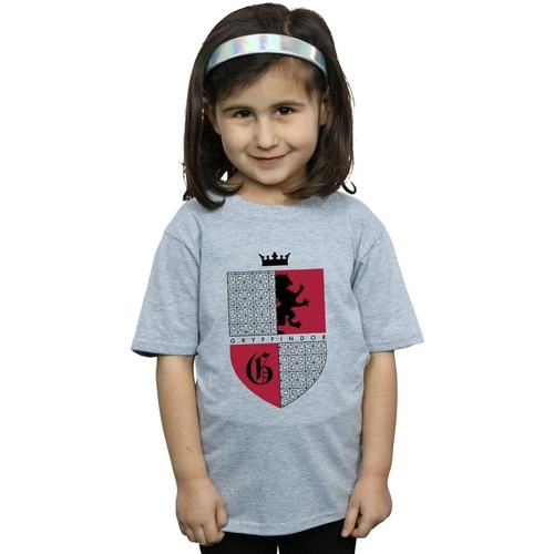 Abbigliamento Bambina T-shirts a maniche lunghe Harry Potter Gryffindor Shield Grigio