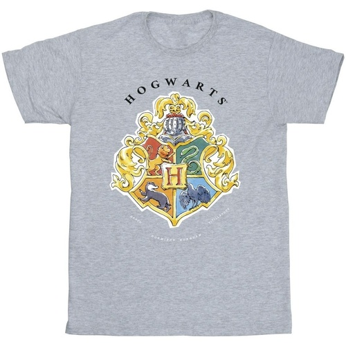Abbigliamento Bambino T-shirt maniche corte Harry Potter Hogwarts School Emblem Grigio