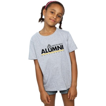 Abbigliamento Bambina T-shirts a maniche lunghe Harry Potter Hogwarts Alumni Hufflepuff Grigio