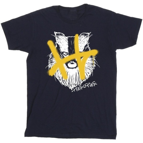 Abbigliamento Bambino T-shirt maniche corte Harry Potter Hufflepuff Pop Spray Blu