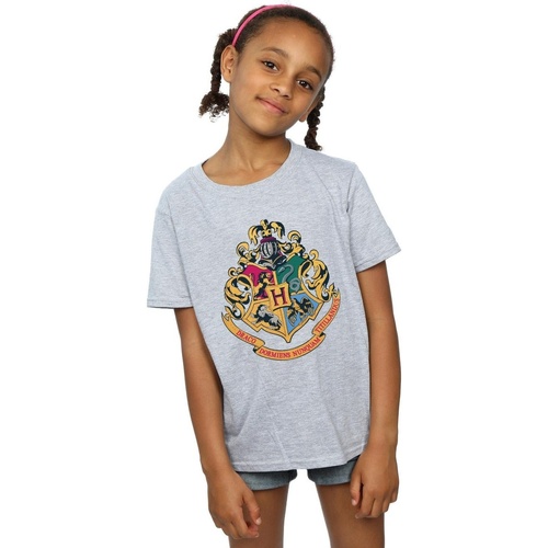 Abbigliamento Bambina T-shirts a maniche lunghe Harry Potter Hogwarts Crest Gold Ink Grigio