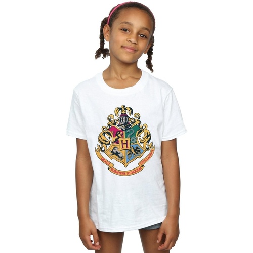 Abbigliamento Bambina T-shirts a maniche lunghe Harry Potter Hogwarts Crest Gold Ink Bianco
