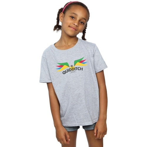 Abbigliamento Bambina T-shirts a maniche lunghe Harry Potter Snitch Wings Pastels Grigio