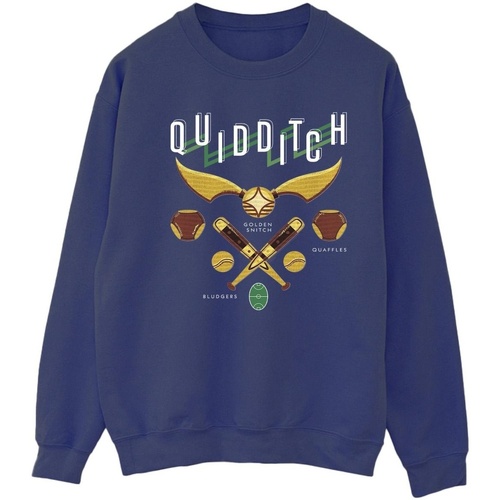 Abbigliamento Donna Felpe Harry Potter Quidditch Bludgers Quaffles Blu