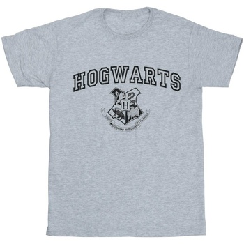 Abbigliamento Bambina T-shirts a maniche lunghe Harry Potter Hogwarts Crest Grigio