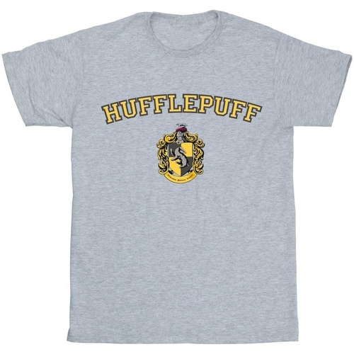 Abbigliamento Bambina T-shirts a maniche lunghe Harry Potter Hufflepuff Crest Grigio