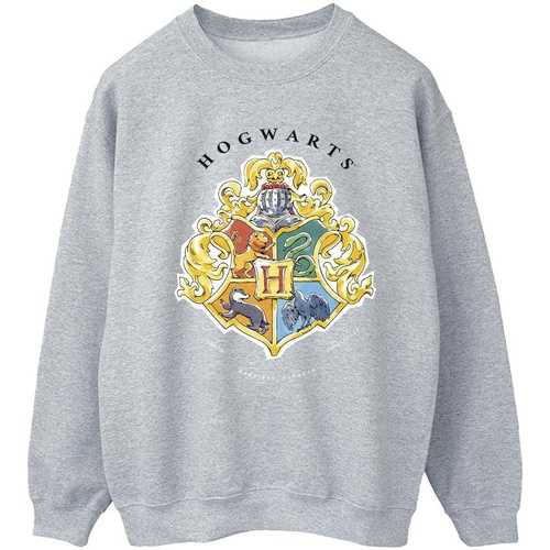 Abbigliamento Donna Felpe Harry Potter Hogwarts School Emblem Grigio