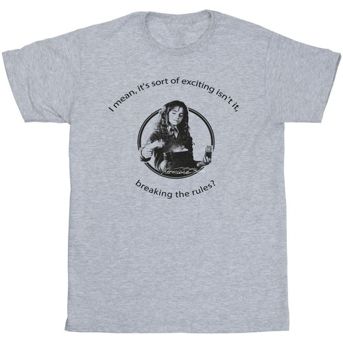 Abbigliamento Bambina T-shirts a maniche lunghe Harry Potter Hermione Breaking The Rules Grigio
