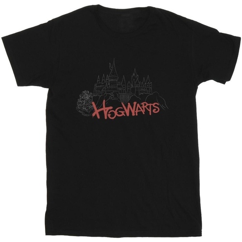 Abbigliamento Bambina T-shirts a maniche lunghe Harry Potter Hogwarts Castle Spray Nero