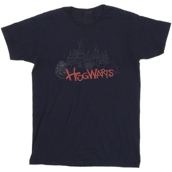 Abbigliamento Bambina T-shirts a maniche lunghe Harry Potter Hogwarts Castle Spray Blu