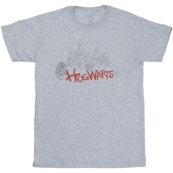 Abbigliamento Bambina T-shirts a maniche lunghe Harry Potter Hogwarts Castle Spray Grigio