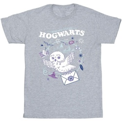 Abbigliamento Bambina T-shirts a maniche lunghe Harry Potter Owl Letter From Hogwarts Grigio