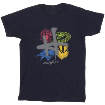 Abbigliamento Bambina T-shirts a maniche lunghe Harry Potter Emblems H Spray Blu