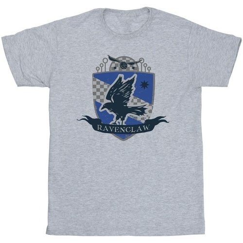 Abbigliamento Bambina T-shirts a maniche lunghe Harry Potter Ravenclaw Chest Badge Grigio